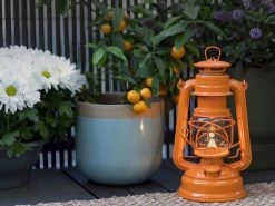 Feuerhand Baby Special 276 Pastel Orange Stormlamp 8 Feuerhand Baby Special 276 Pastel Orange Stormlamp -Wildernis Kampeer Winkel feuerhand stormlamp oranje 3 ecommerce 254d