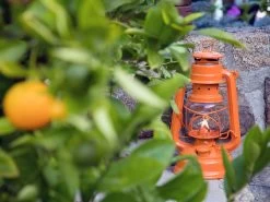 Feuerhand Baby Special 276 Pastel Orange Stormlamp 7 Feuerhand Baby Special 276 Pastel Orange Stormlamp -Wildernis Kampeer Winkel feuerhand stormlamp oranje 4 ecommerce 7f8f