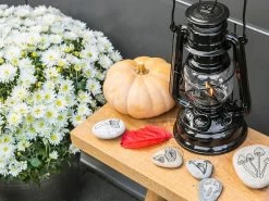 Feuerhand Baby Special 276 Black Stormlamp 11 Feuerhand Baby Special 276 Black Stormlamp -Wildernis Kampeer Winkel feuerhand stormlamp zwart 4 ecommerce 1292