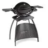 Weber Q 1200 Stand Black -Wildernis Kampeer Winkel weber q 1200 stand black 824211 ecommerce a506